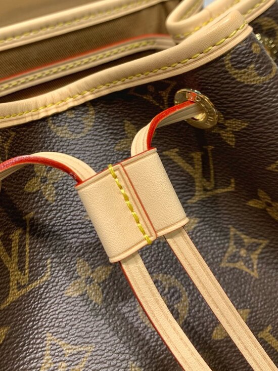 Louis Vuitton Montsouris Medium Backpack Monogram